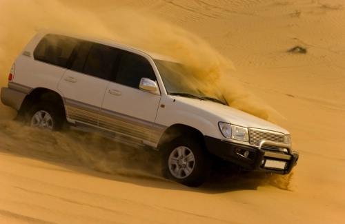 Morning Desert Safari In Dubai