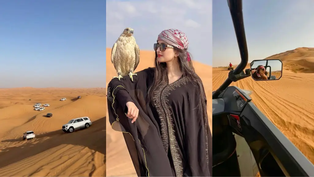 book and contact us for desert safari