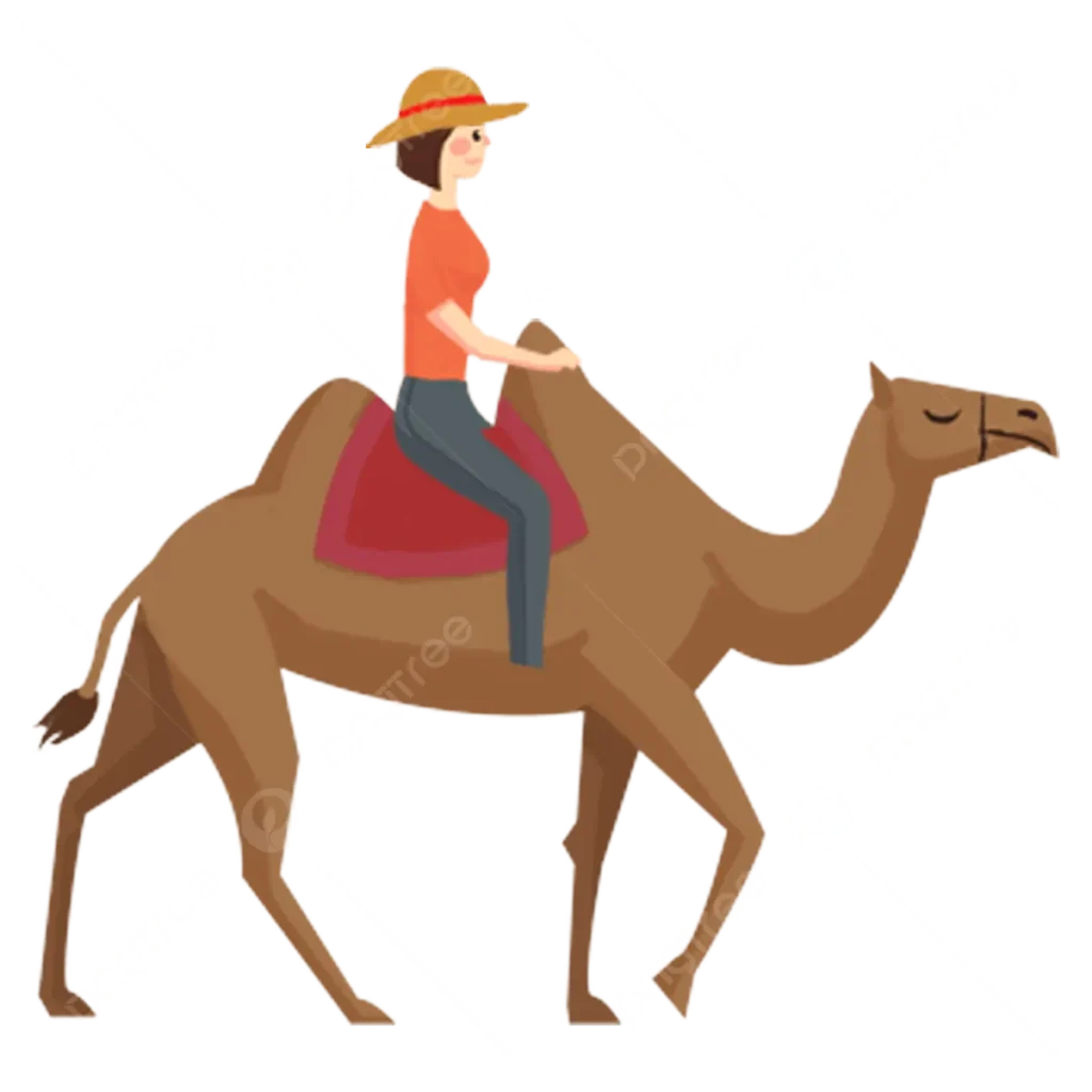 camel ride