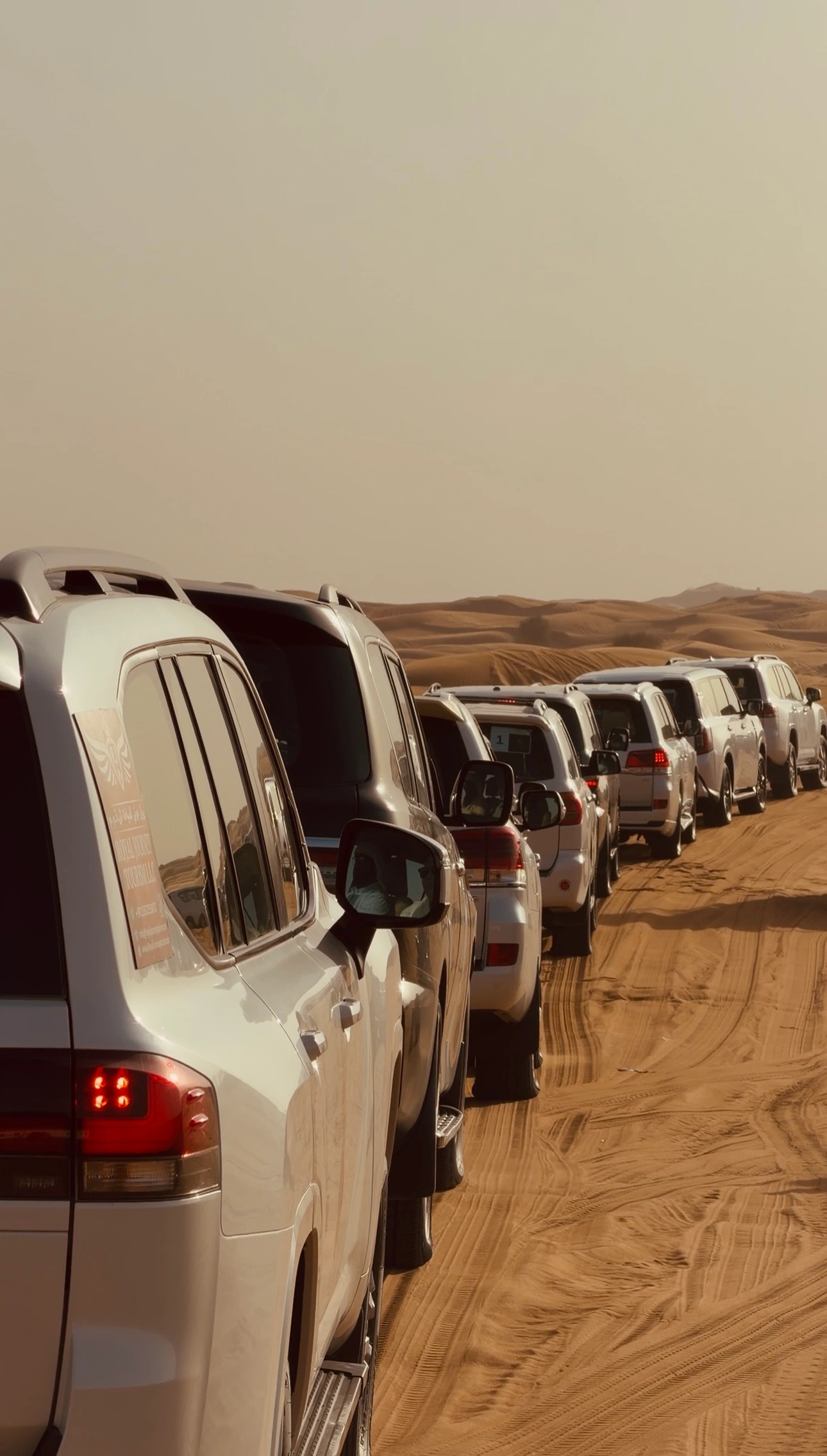 why you should choose our bookdesertsafaridubai.ae